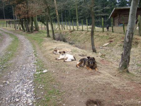 repos