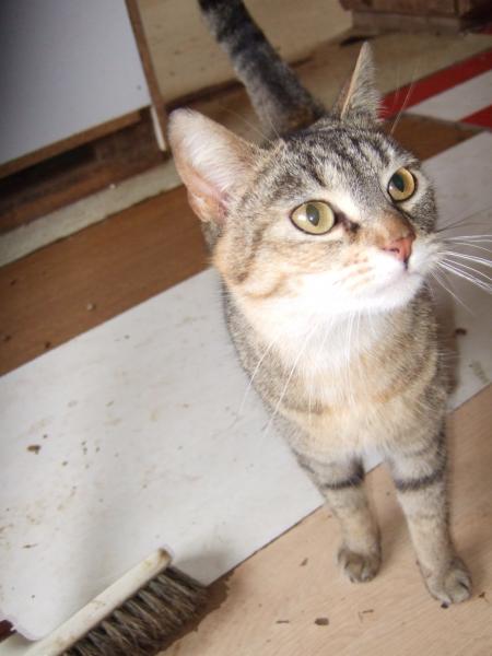 luna