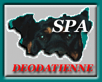 nous