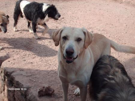 billy
