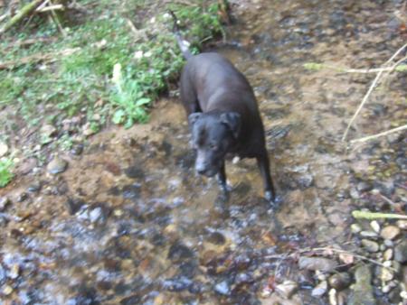 tay au ruisseau