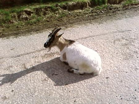 charlotte a dessidé de bloquer le passage