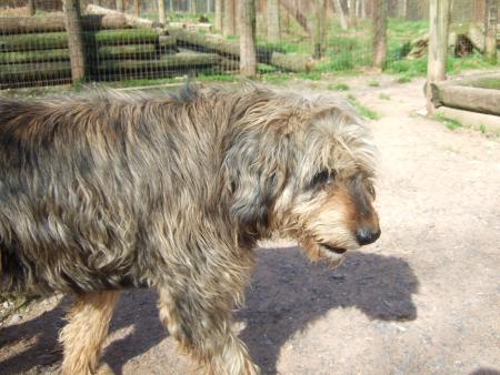 wisky