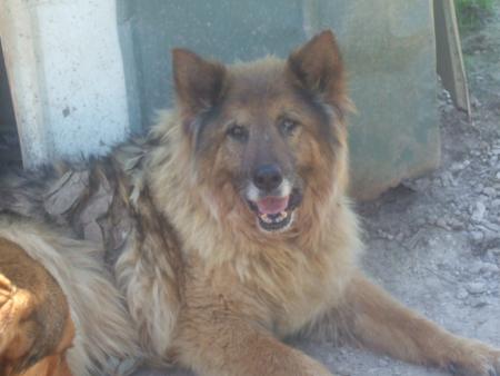 prince