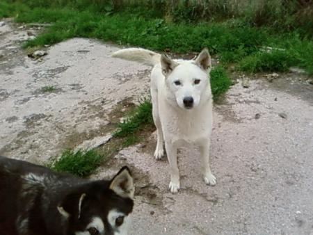 quel beau regard ...