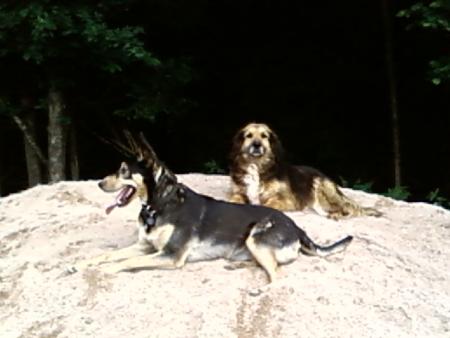 ficelle et tania