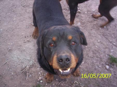 max