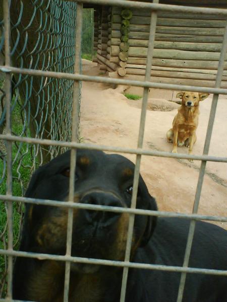 tessi et caramel